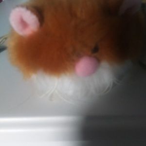 Meet your Posher, Robert